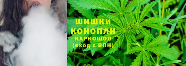 спиды Алзамай