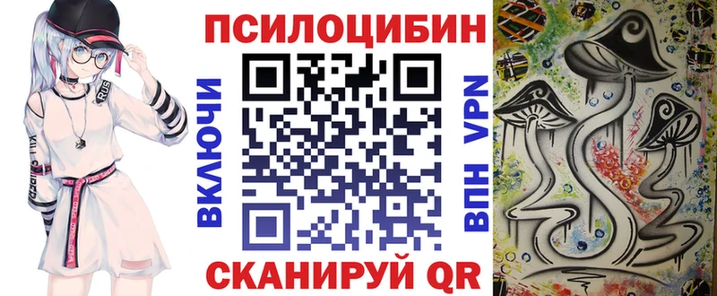 Псилоцибиновые грибы Psilocybine cubensis  Карачев 